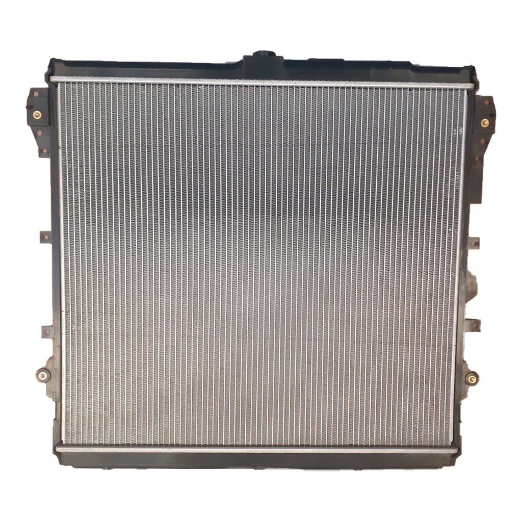 RAD/81207-36MTPAWS